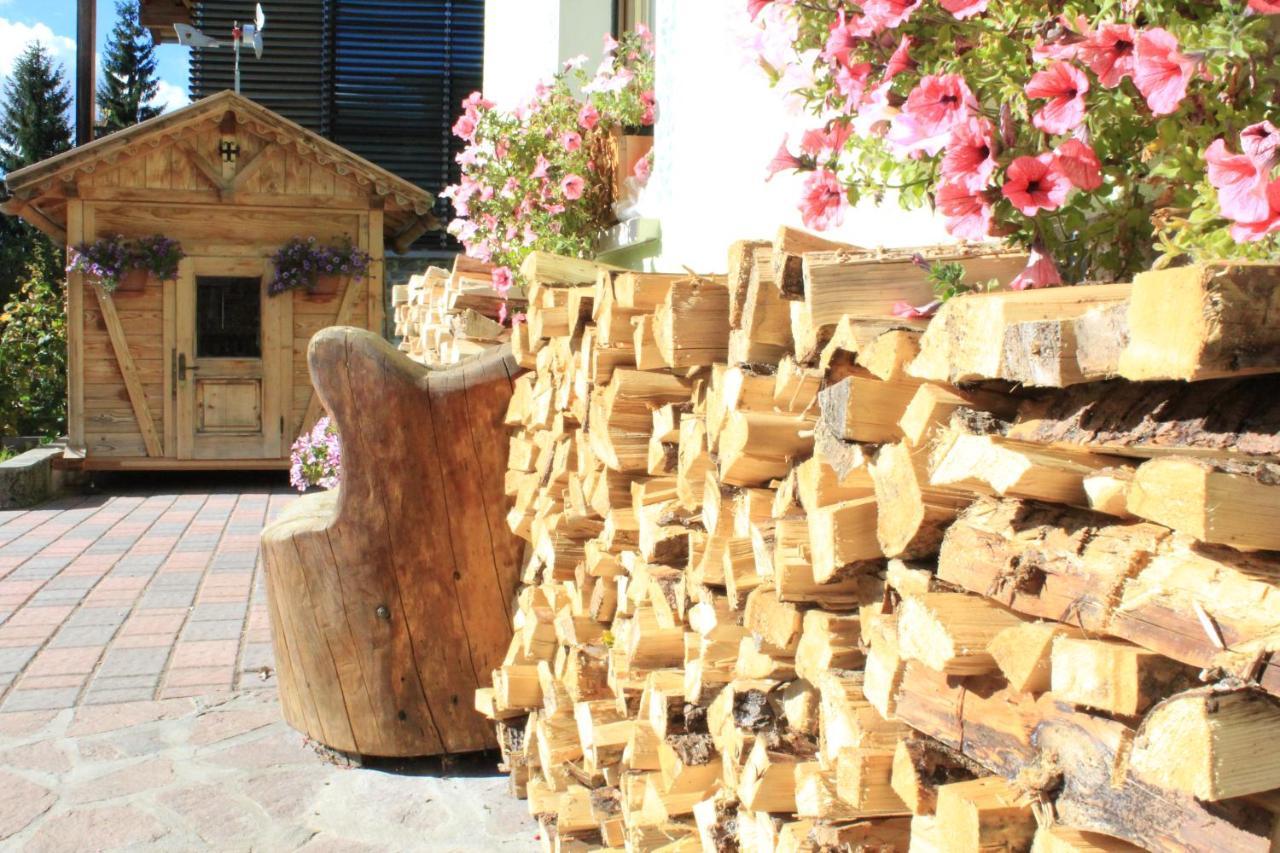 Hotel Garni Al Barance Selva di Cadore Exteriér fotografie